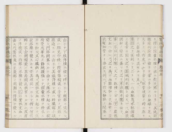 K0046s0064