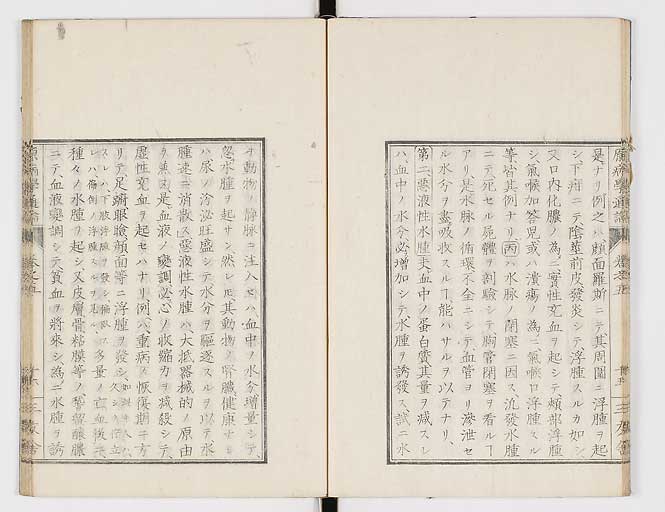 K0046s0065