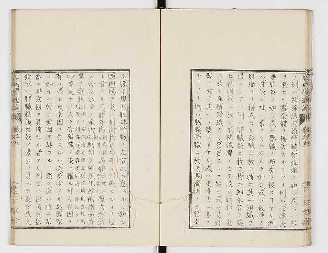 K0046s0071