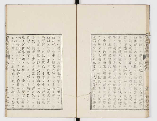 K0046s0073