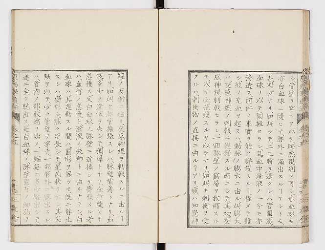 K0046s0074