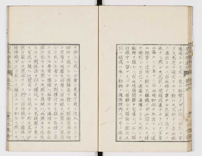 K0046s0075