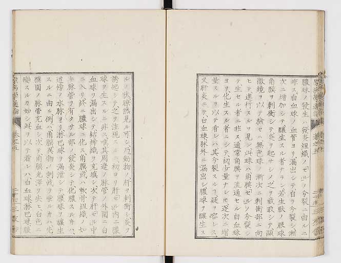 K0046s0076