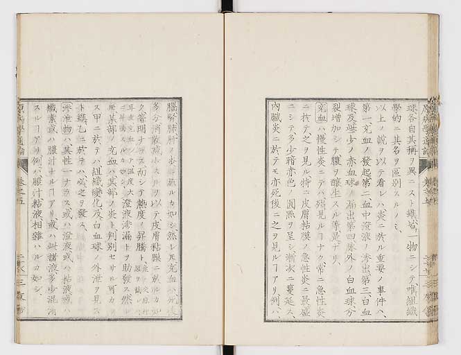 K0046s0077