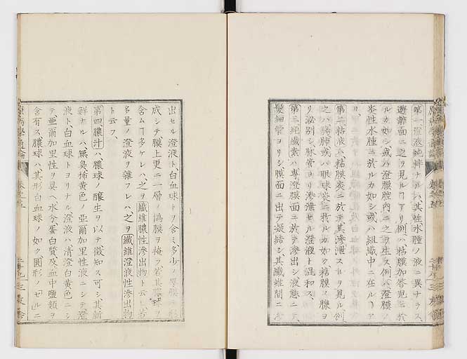 K0046s0078