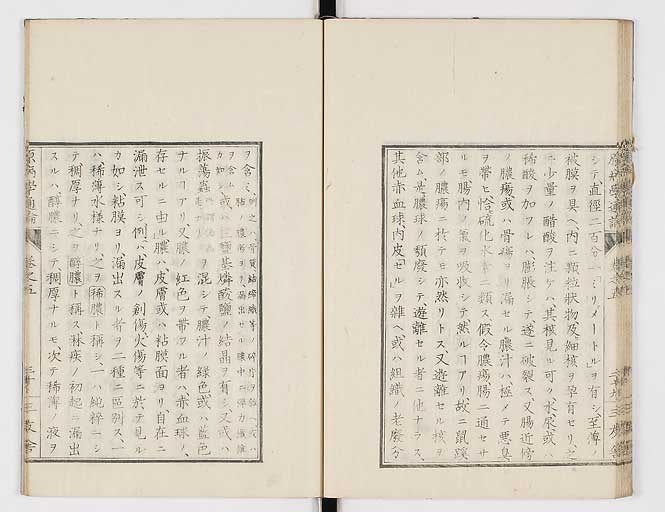K0046s0079
