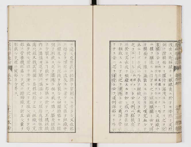K0046s0080