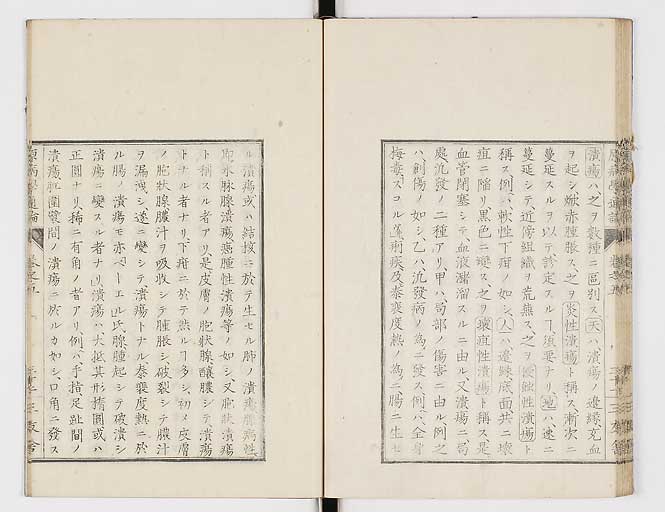 K0046s0081