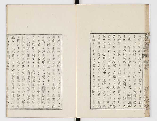 K0046s0082