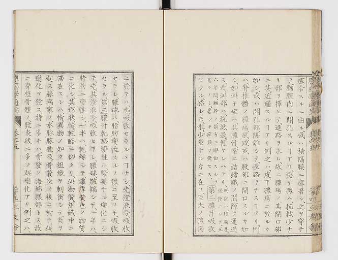 K0046s0084