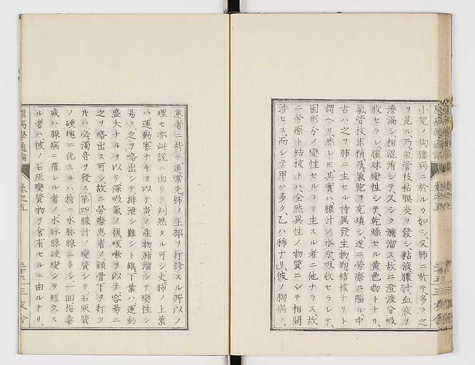K0046s0085