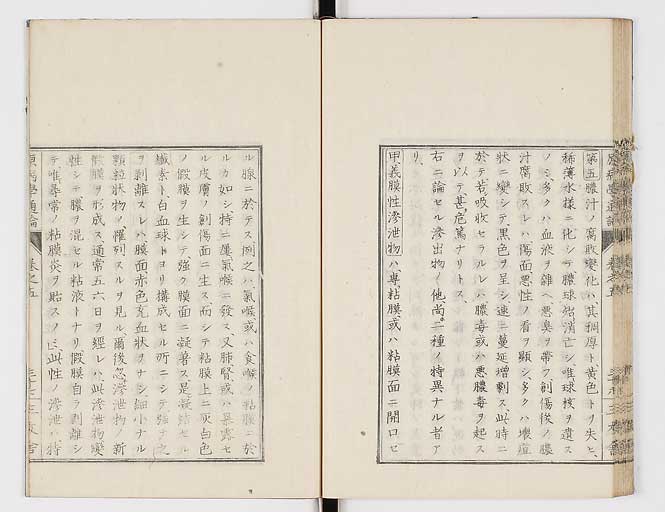 K0046s0086