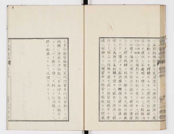 K0046s0088