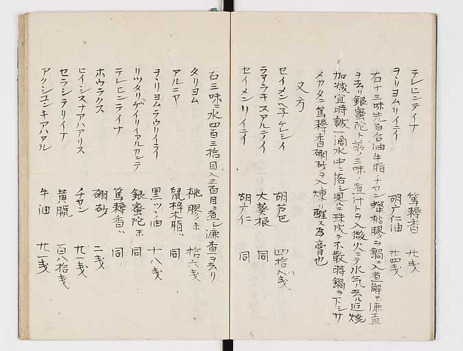 K0047s0011
