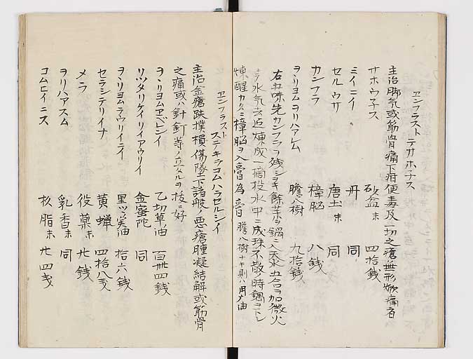 K0047s0020