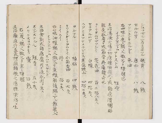 K0047s0031