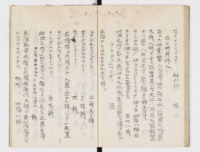 K0047s0042
