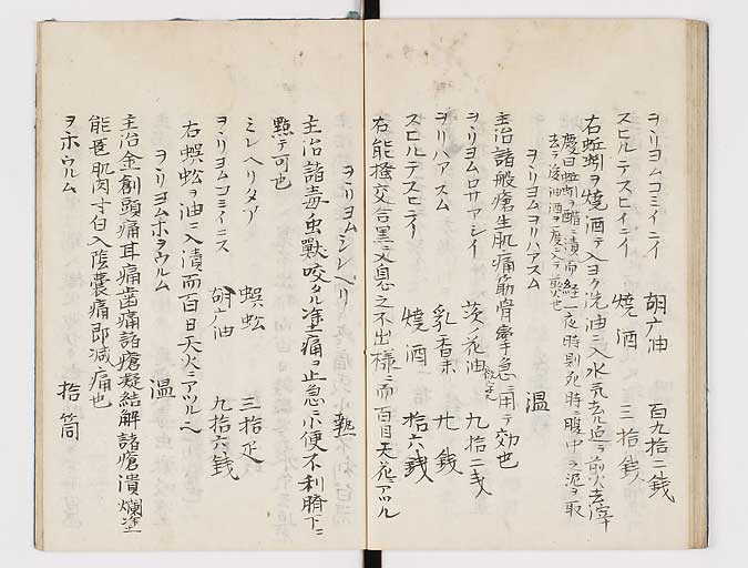 K0047s0043