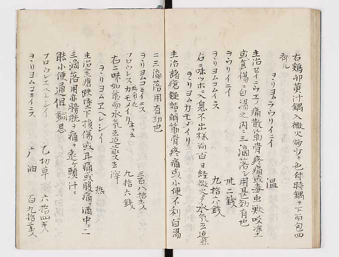 K0047s0044