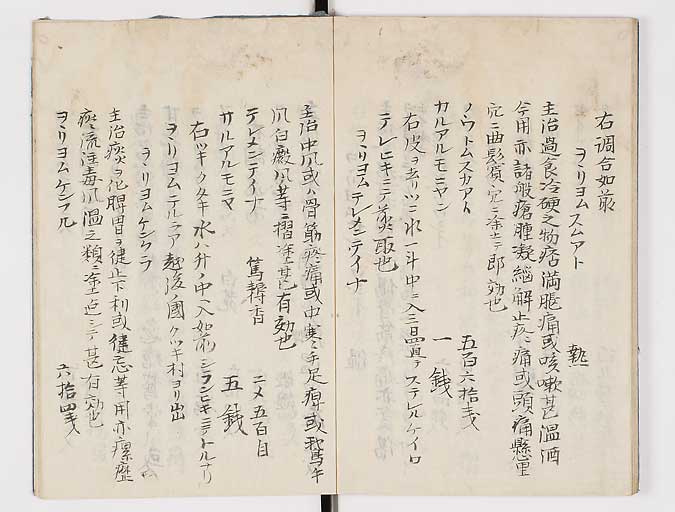 K0047s0050