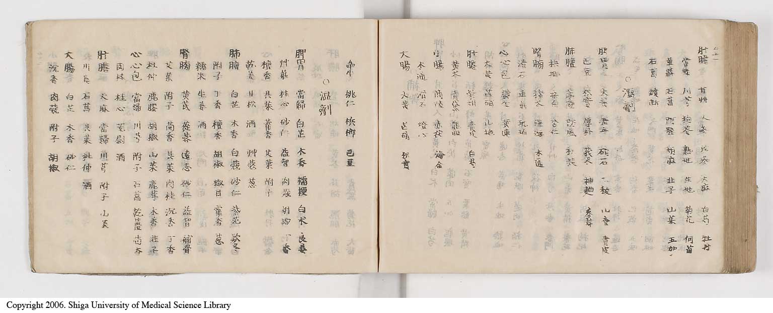 K0052l0298