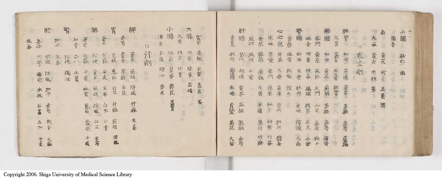 K0052l0299