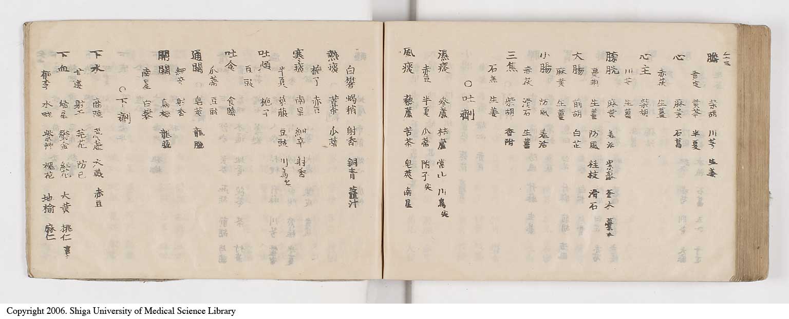 K0052l0300
