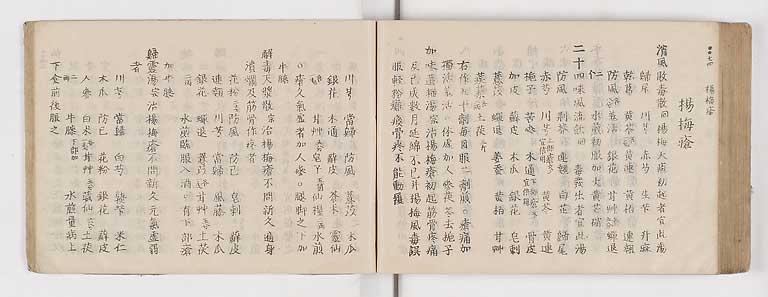 K0052s0281