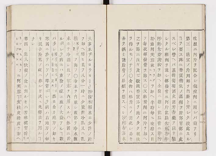 K0055s0013