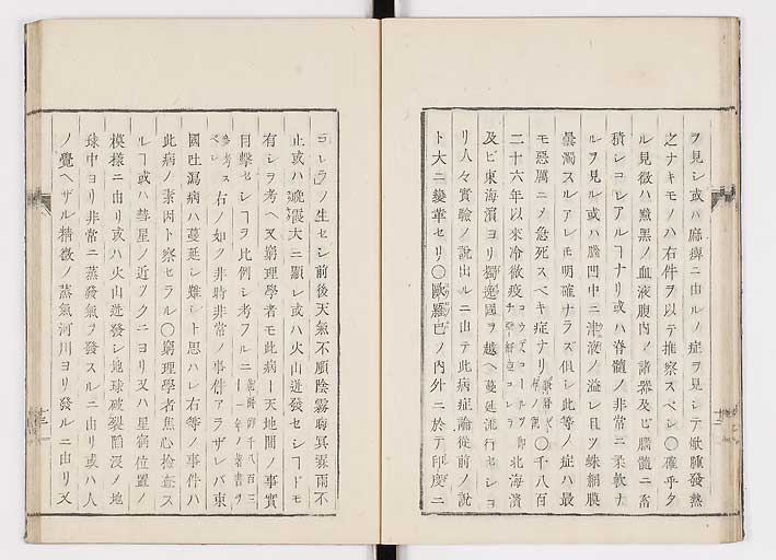 K0055s0019