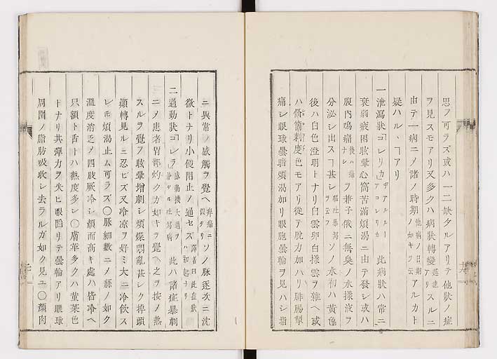 K0055s0026