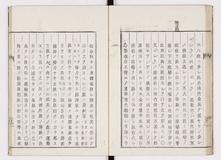 K0055s0030