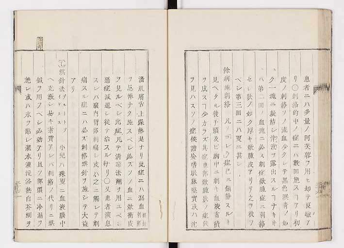 K0055s0043