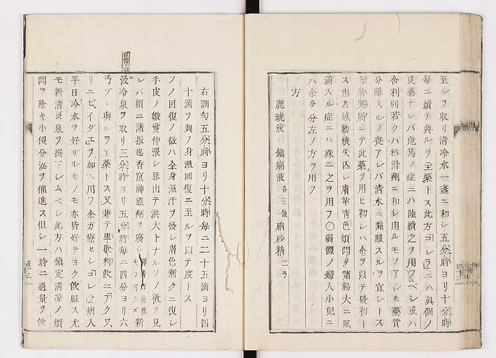 K0055s0049