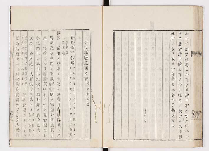K0055s0050