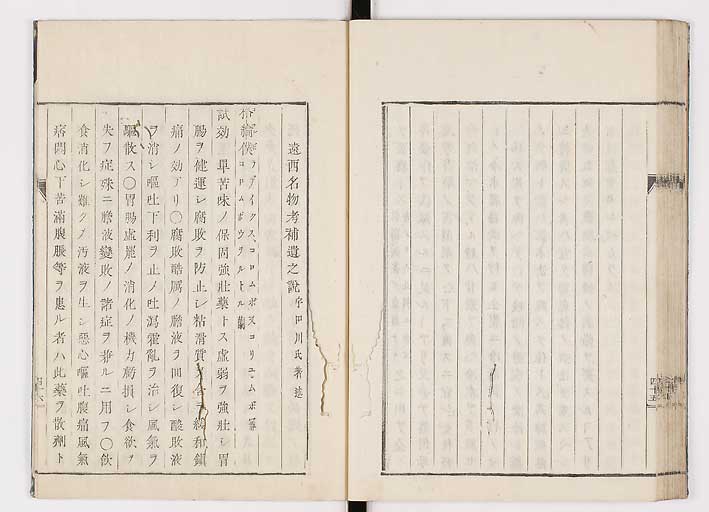 K0055s0052