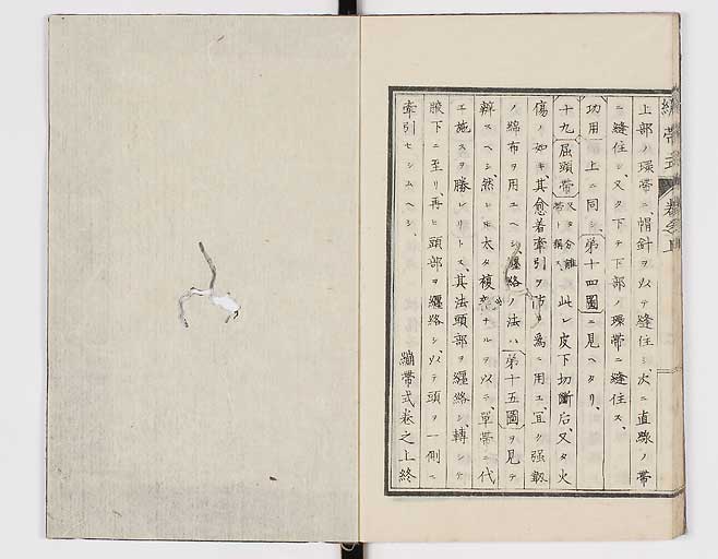 K0056s0030