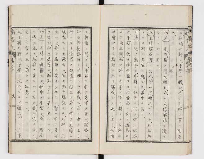 K0056s0046