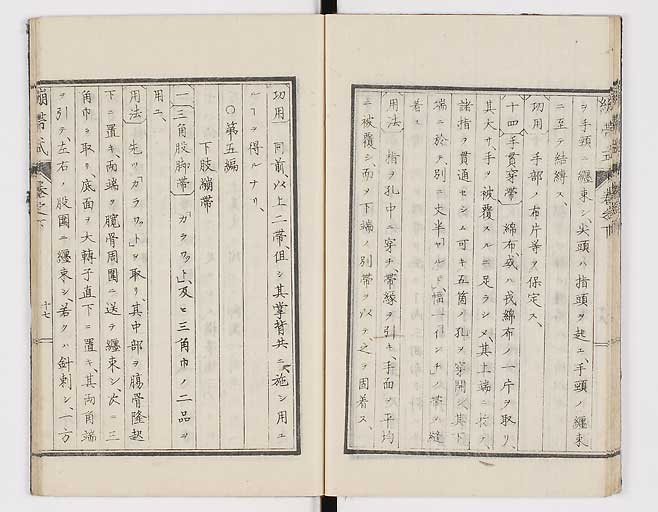 K0056s0049