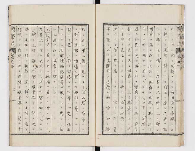 K0056s0052