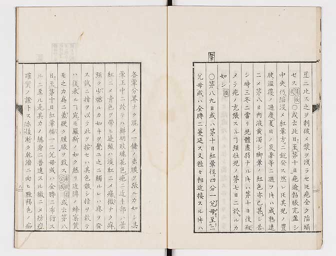 K0058s0013