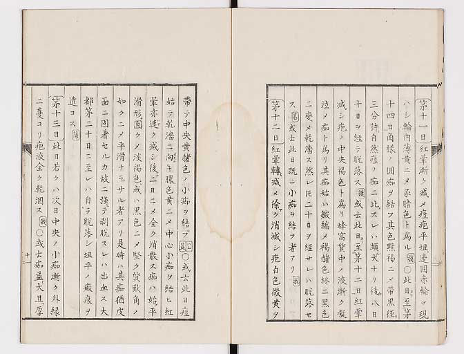 K0058s0015