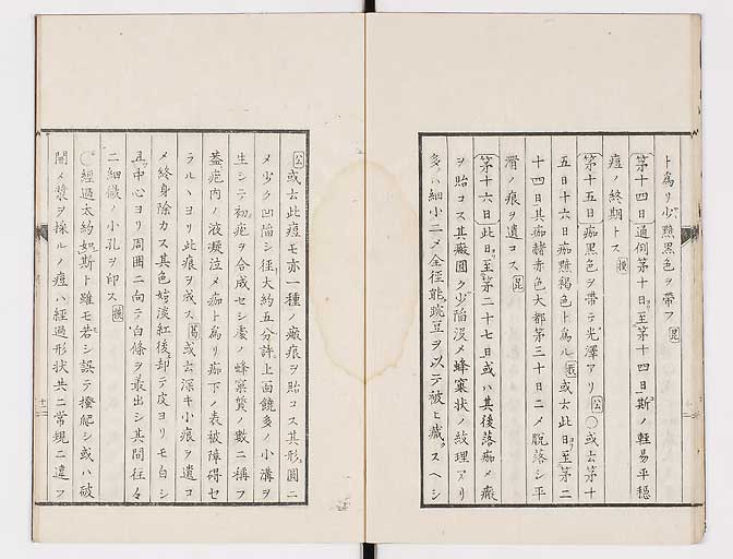 K0058s0016