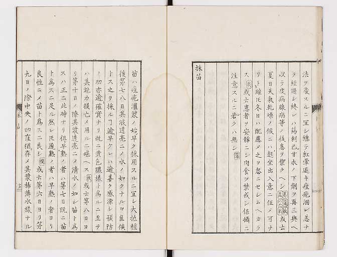 K0058s0021