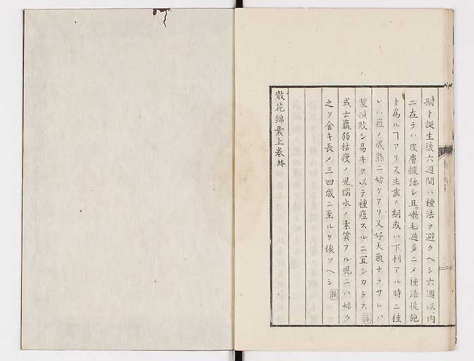 K0058s0025