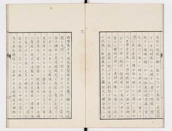 K0058s0031