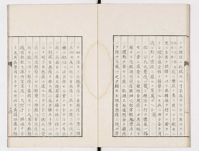 K0058s0041