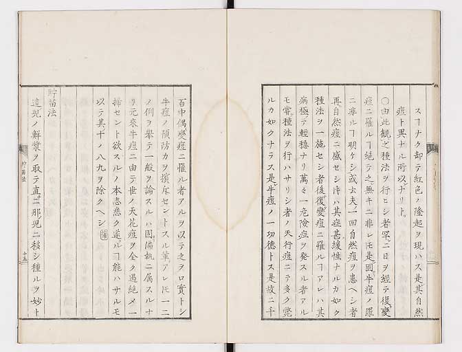 K0058s0042