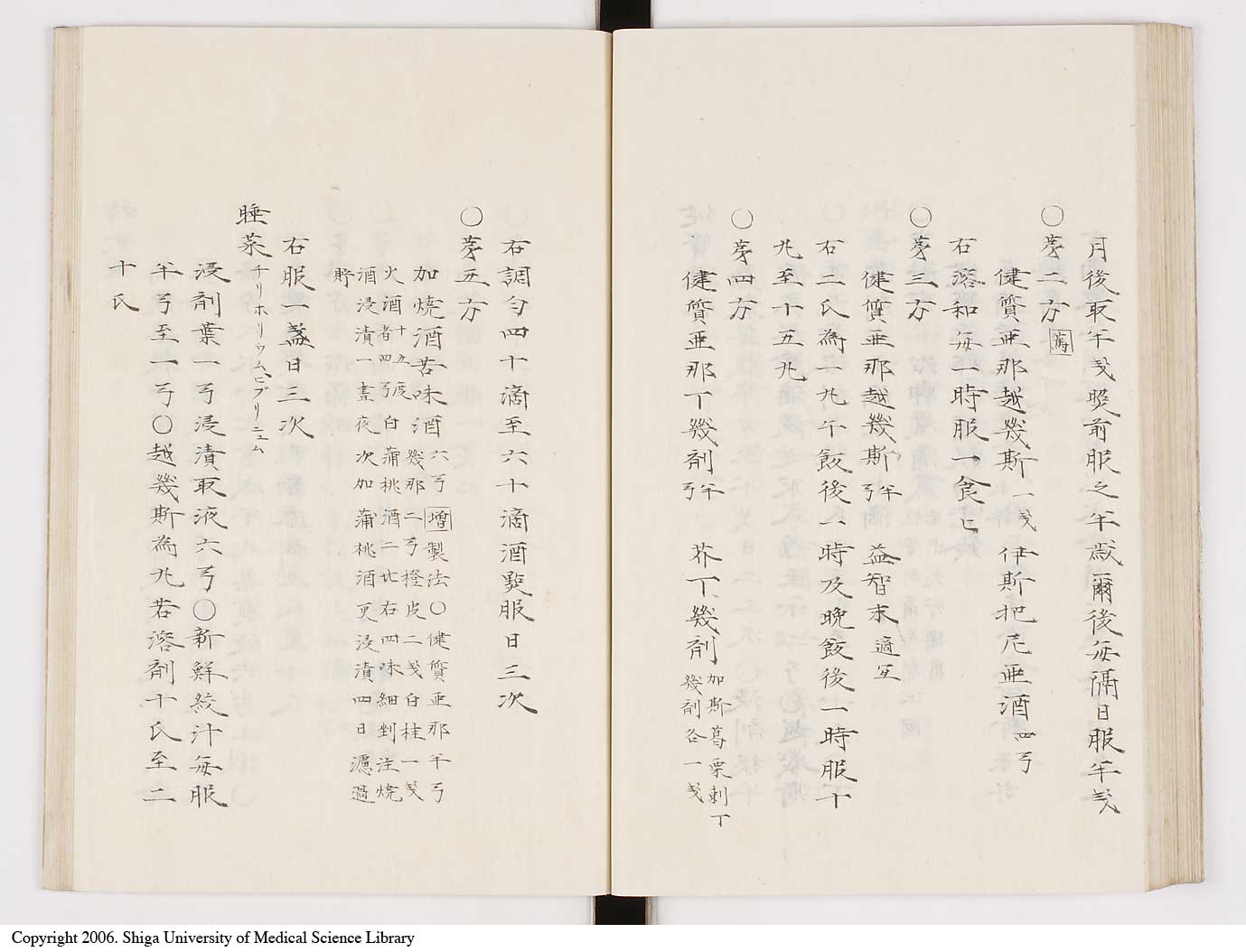 K0061l0204