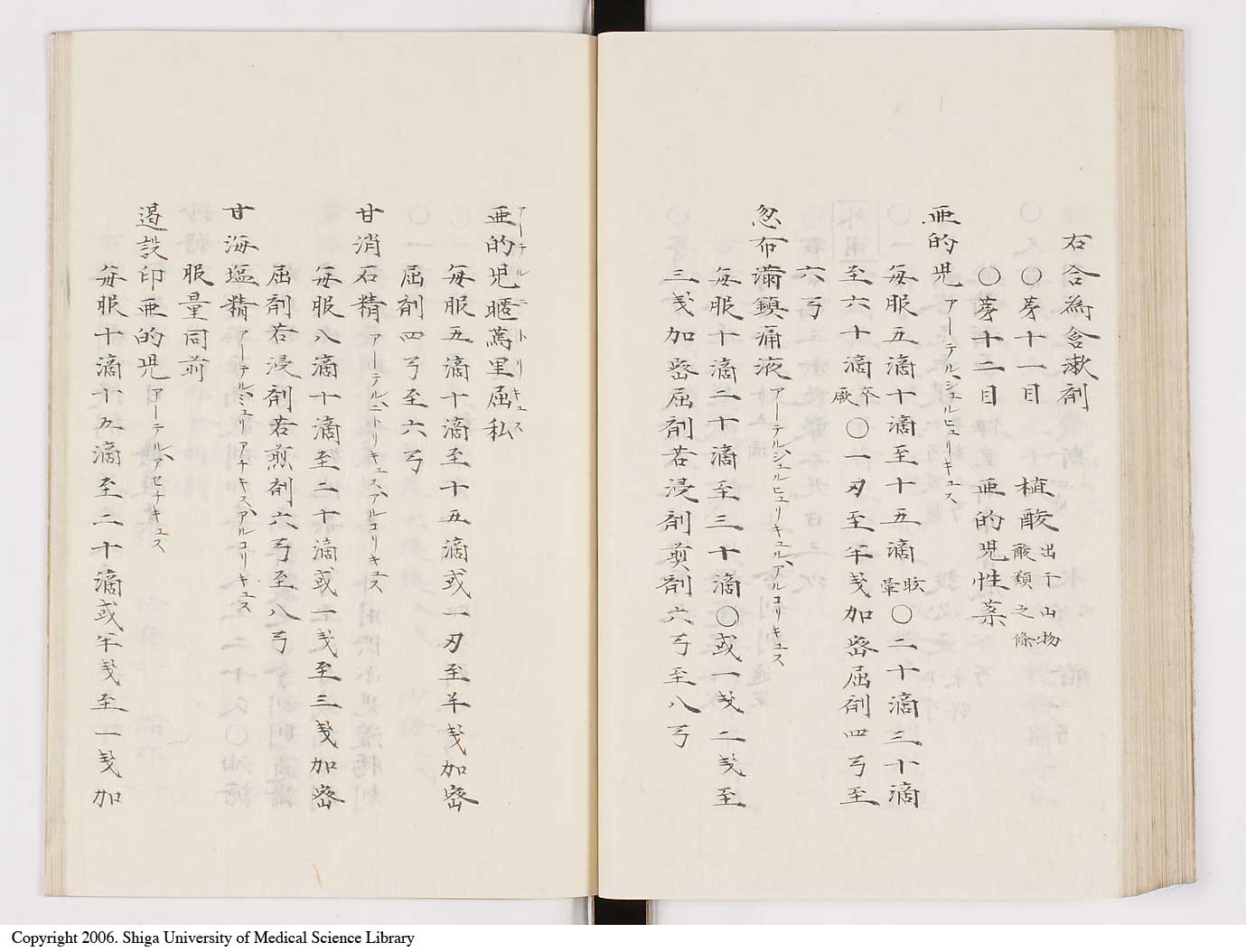 K0061l0217